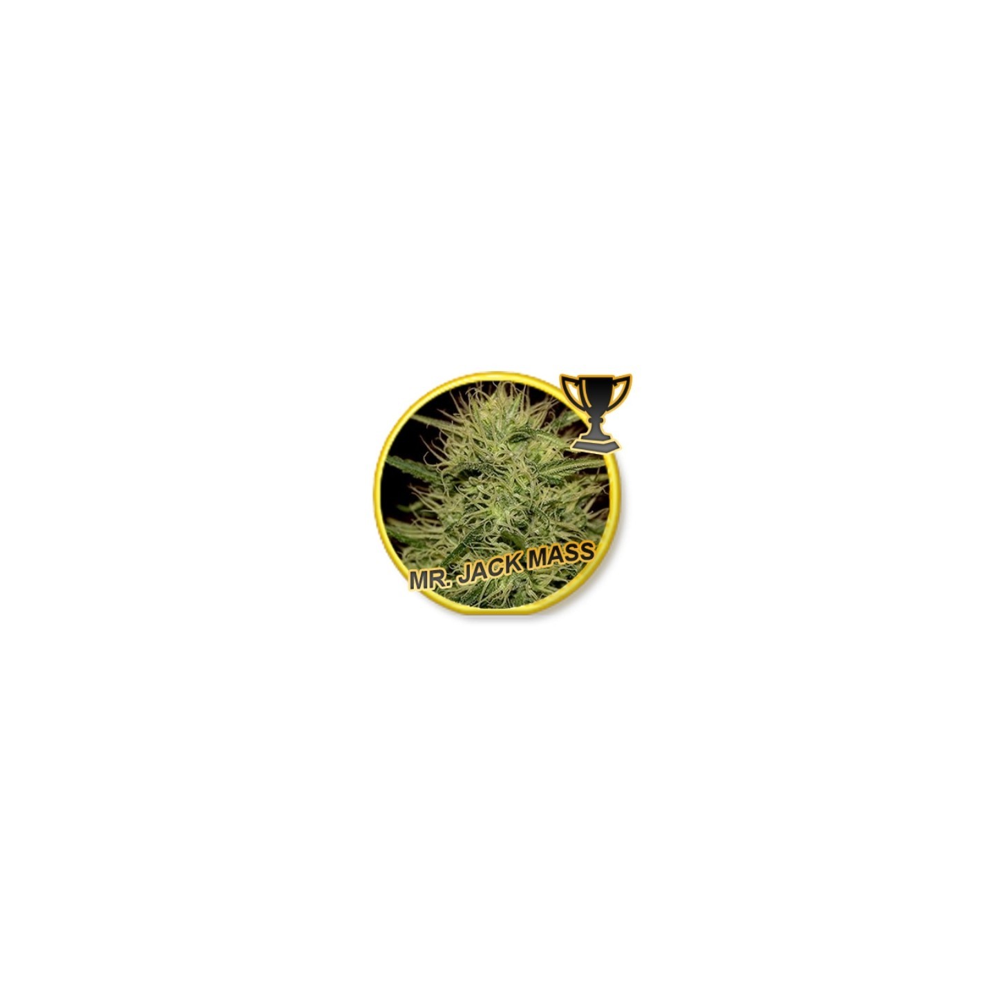 Mr. Jack Mass Regular de Mr. Hide Seeds