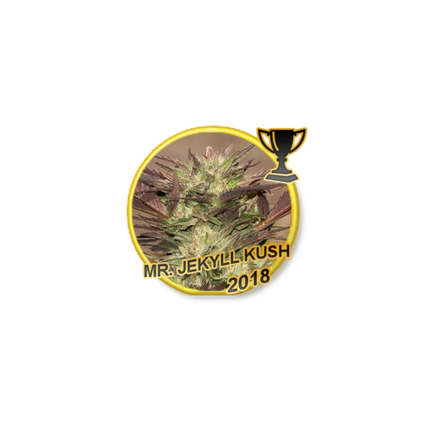 Mr. Jekyll Kush Regular de Mr. Hide Seeds