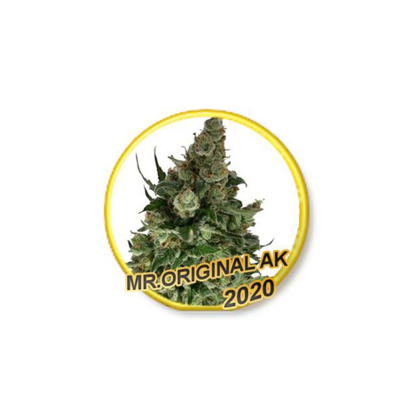 Mr. Original Ak de Mr. Hide Seeds