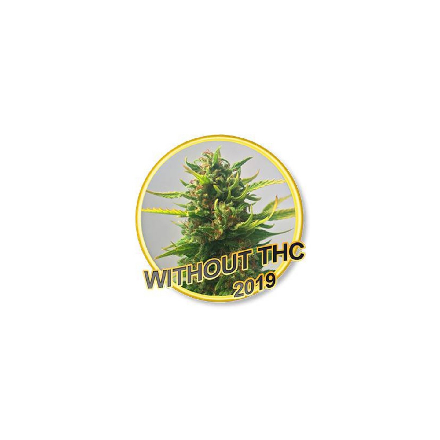 Without Thc Cbd de Mr. Hide Seeds