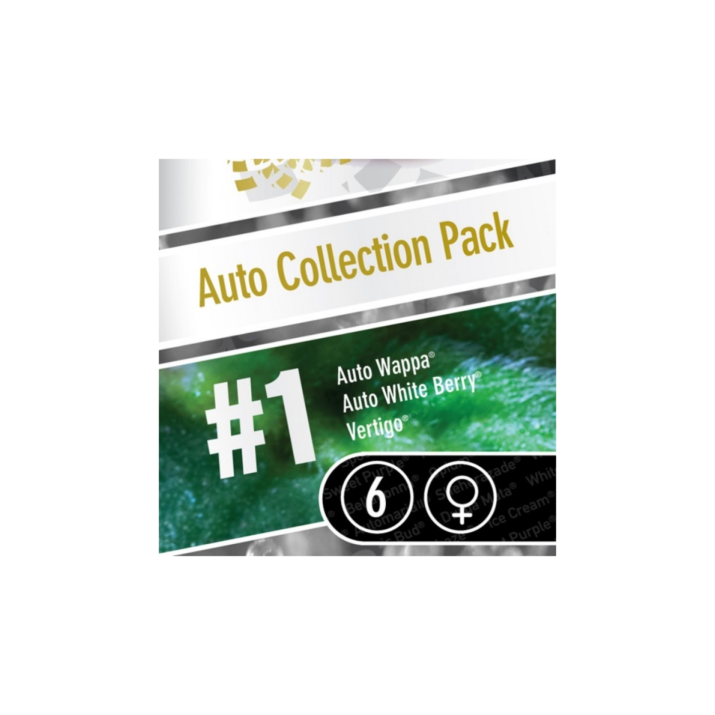 Auto Collection Pack #1 de Paradise Seeds