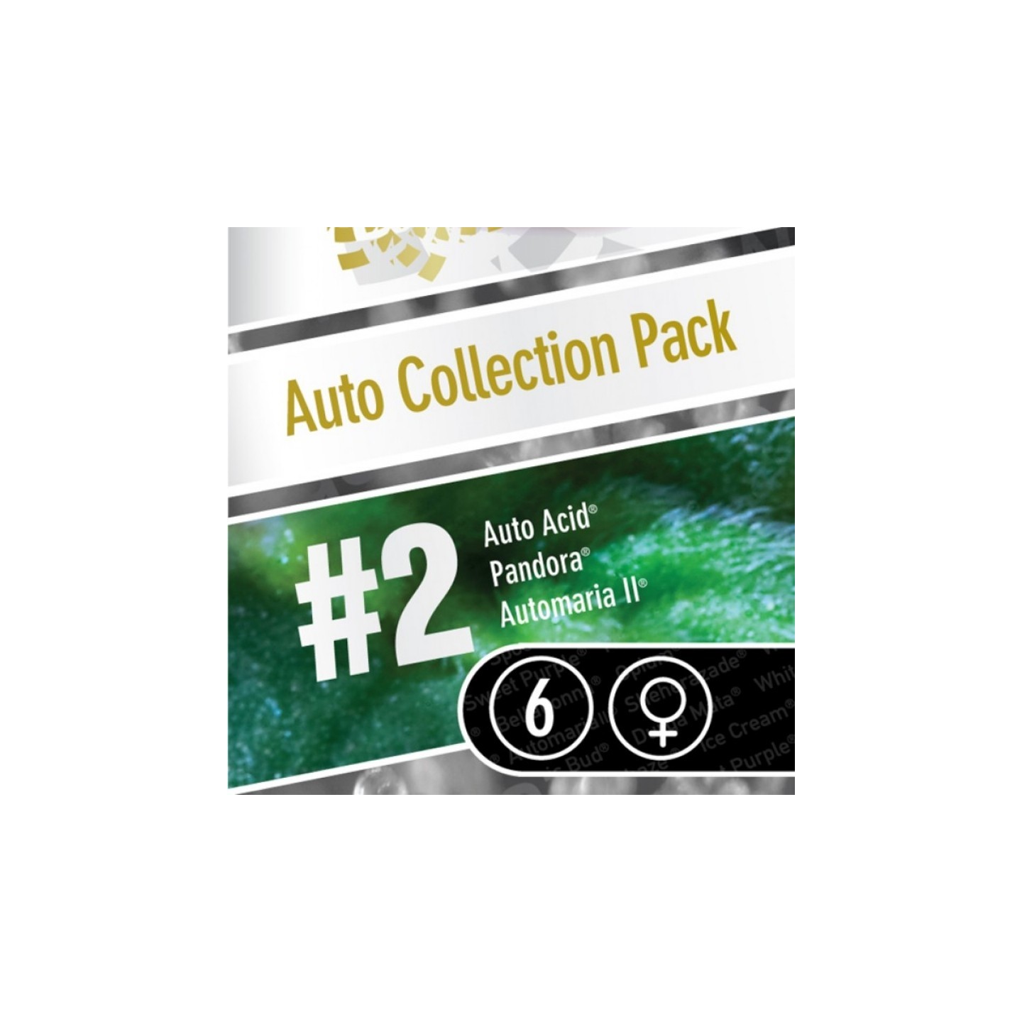 Auto Collection Pack #2 de Paradise Seeds