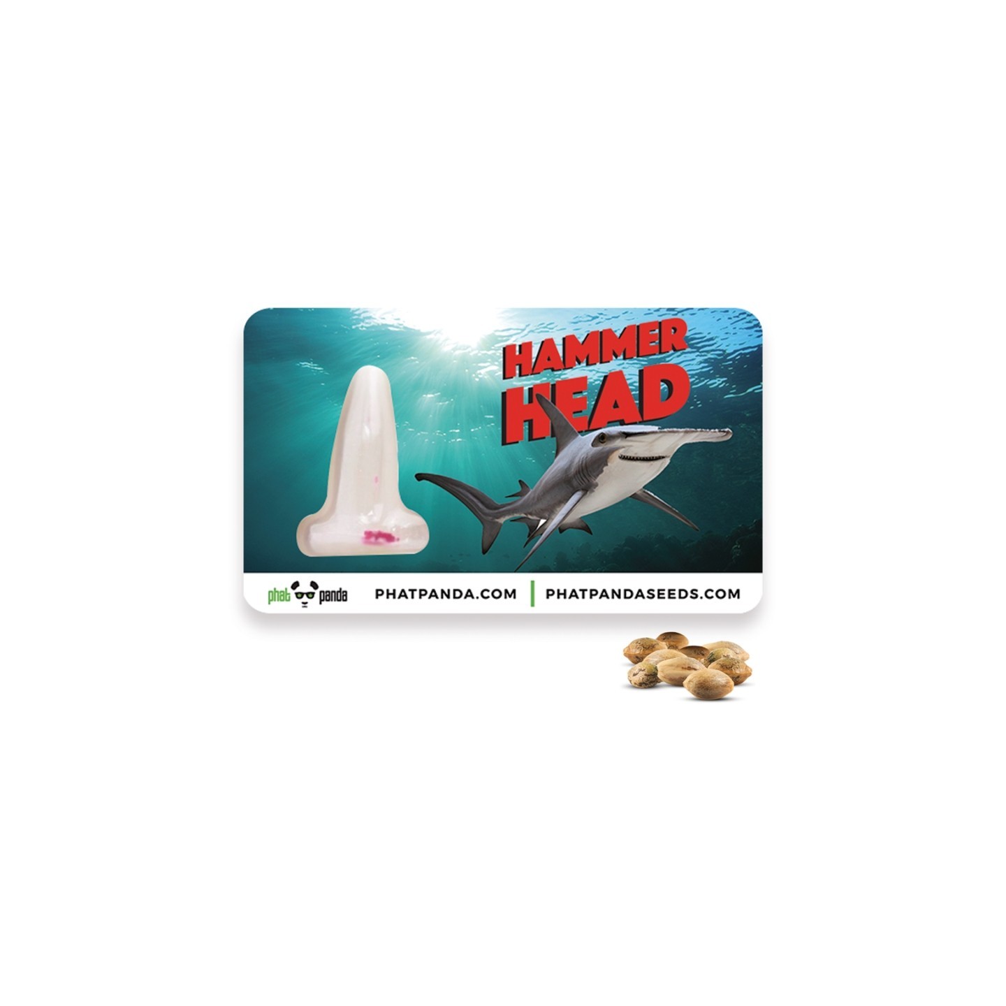 Hammerhead de Phat Panda