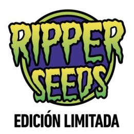 ZOMBIE KUSH X PURPLE PUNCH - Imagen 1