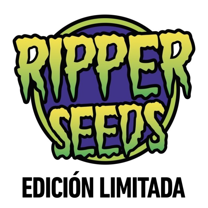 ZOMBIE KUSH X PURPLE PUNCH - Imagen 1