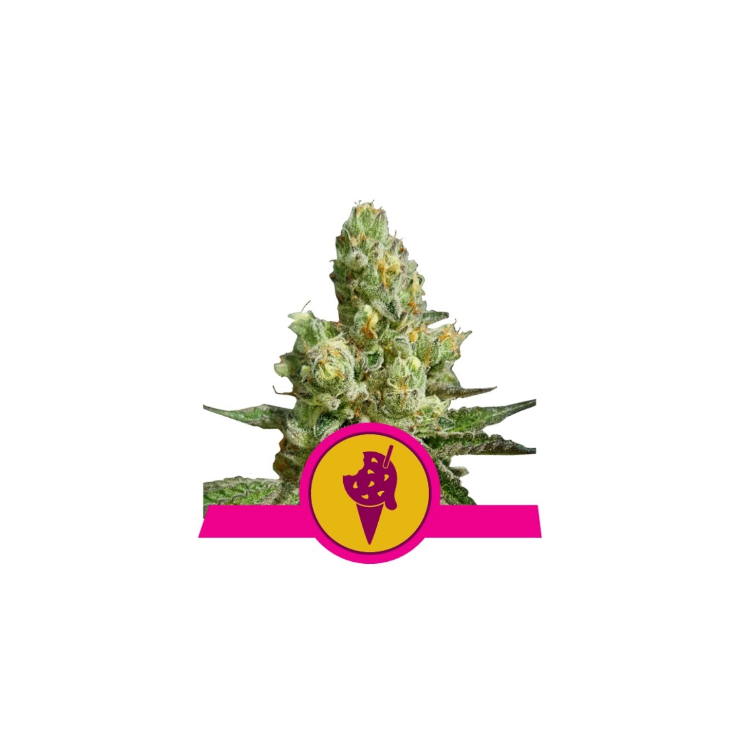 Cookies Gelato Usa Premium de Royal Queen