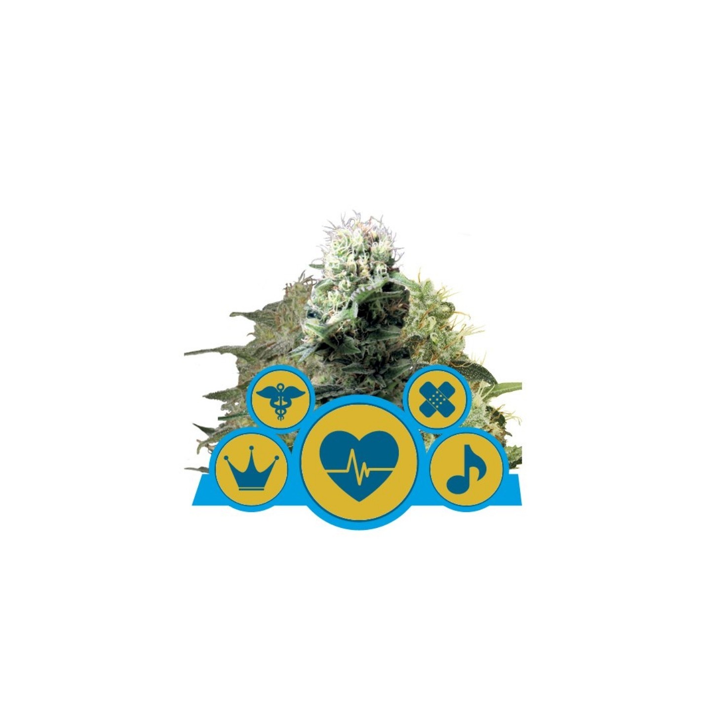 Medical Mix de Royal Queen