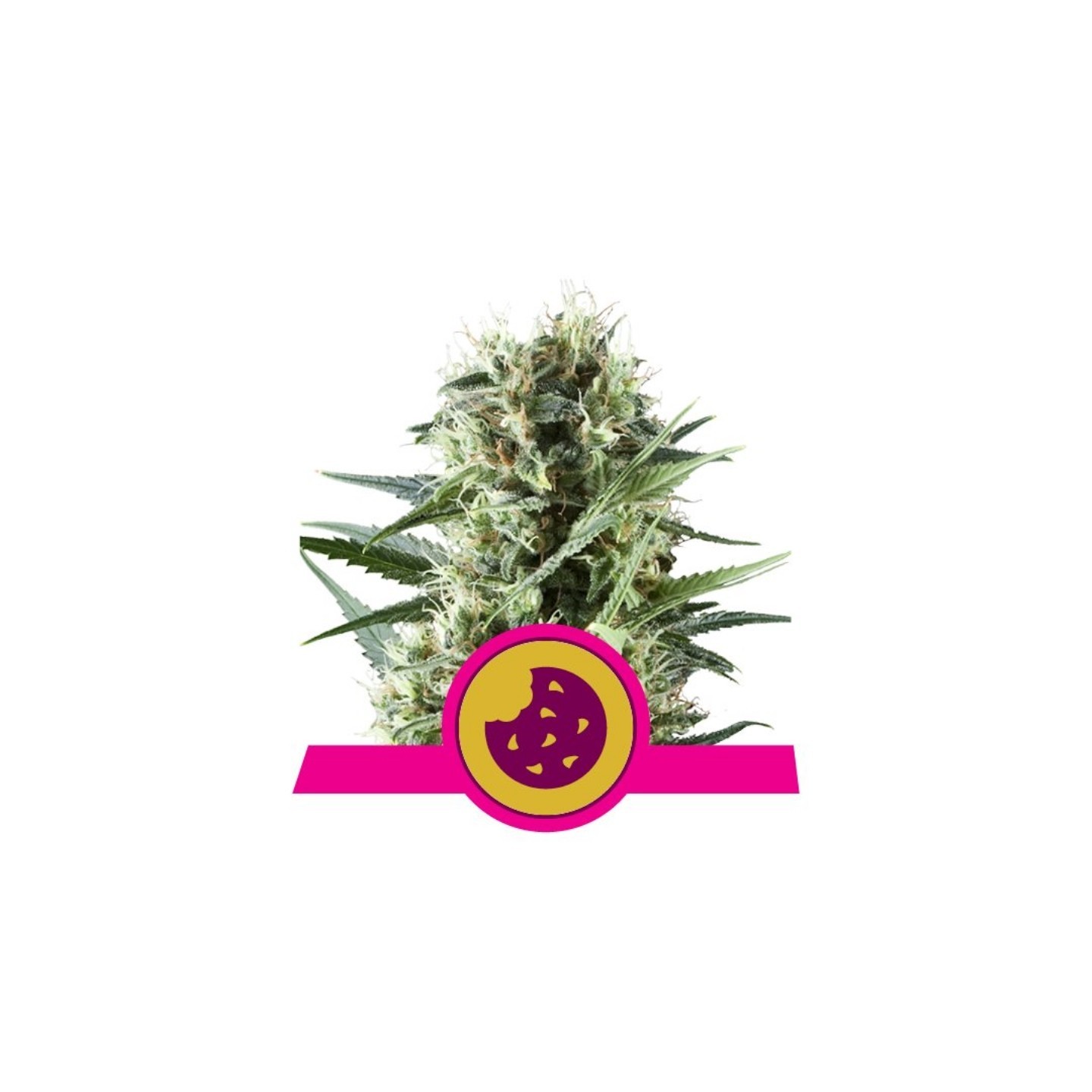 Royal Cookies Usa Premium de Royal Queen