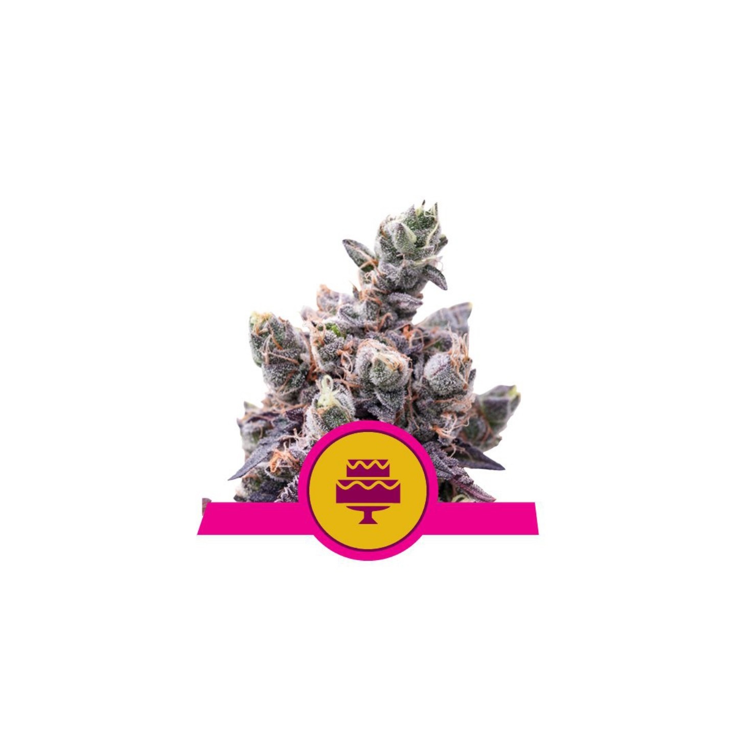 Wedding Gelato Usa Premium de Royal Queen
