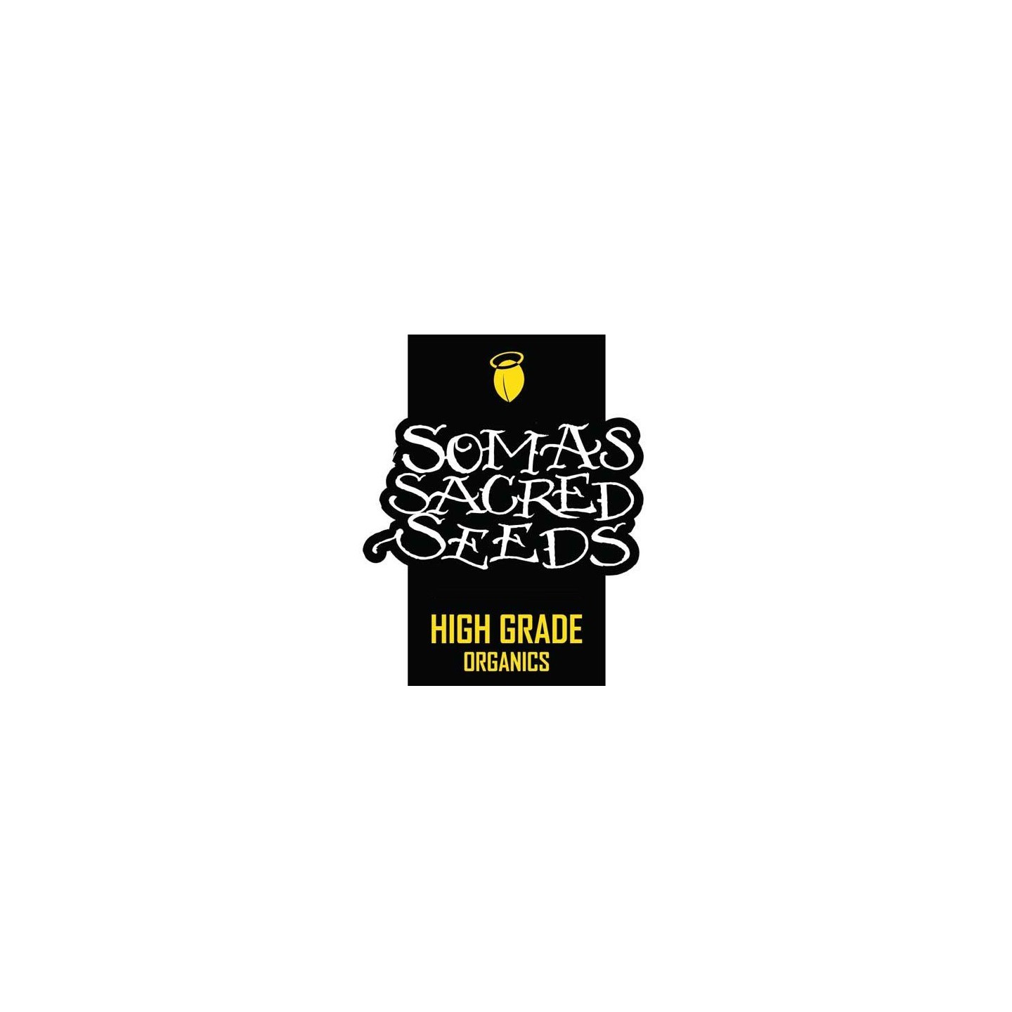 G13 - Nyc Diesel Regular de Soma Seeds