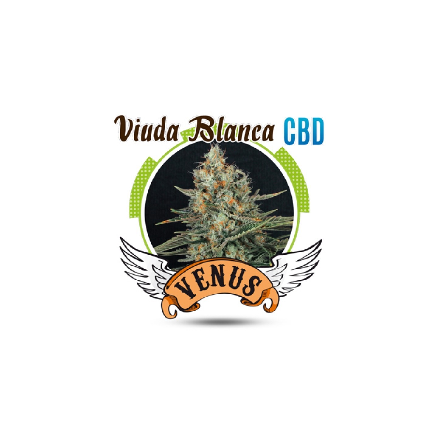 Viuda Blanca Cbd Feminizada de Venus Genetics