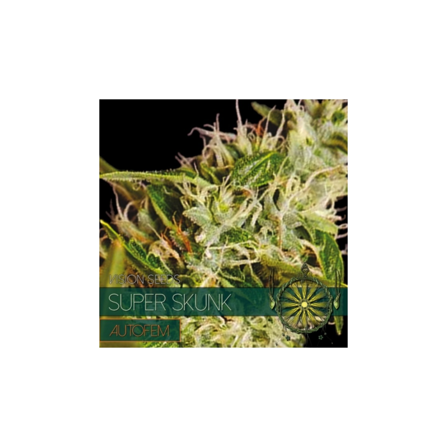 Super Skunk Autofloreciente Feminizada (Etiqueta Francesa) de