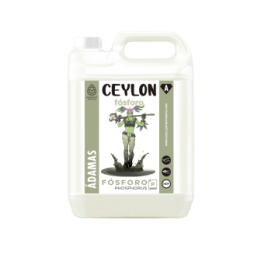 Ceylon de Excellent Nutrients