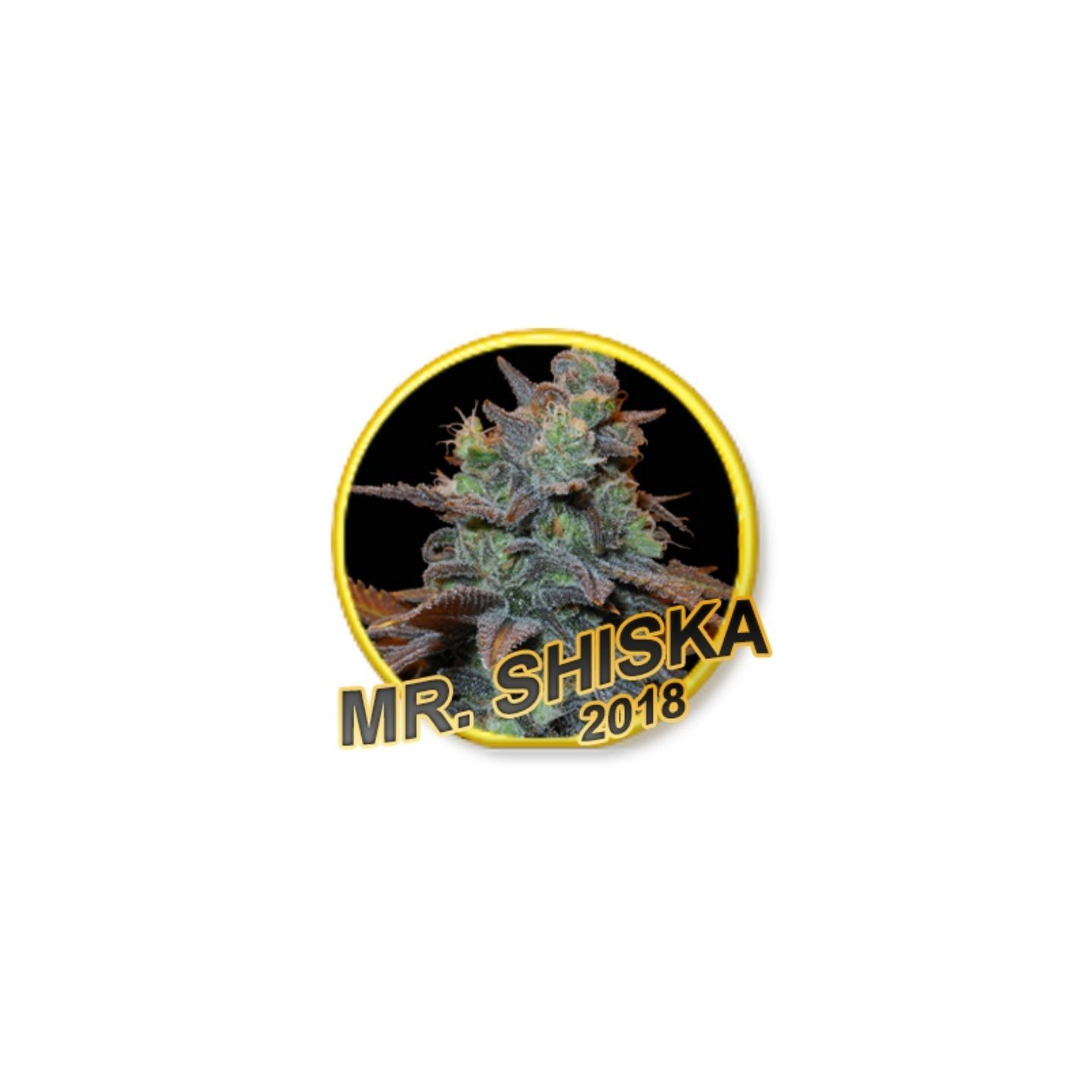 MR Shiska (USA STRAINS) Feminizada de Mr. Hide Seeds