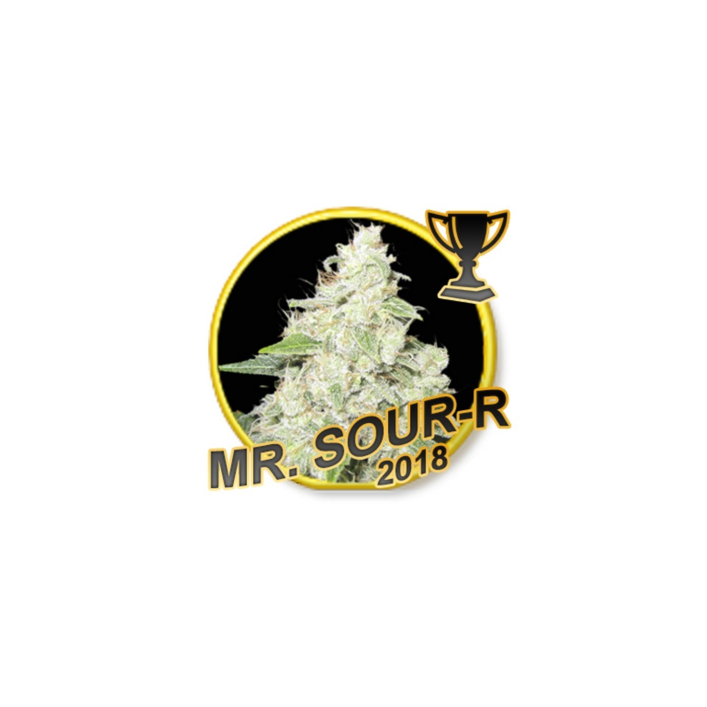 MR SOUR-R (USA STRAINS) Feminizada de Mr. Hide Seeds