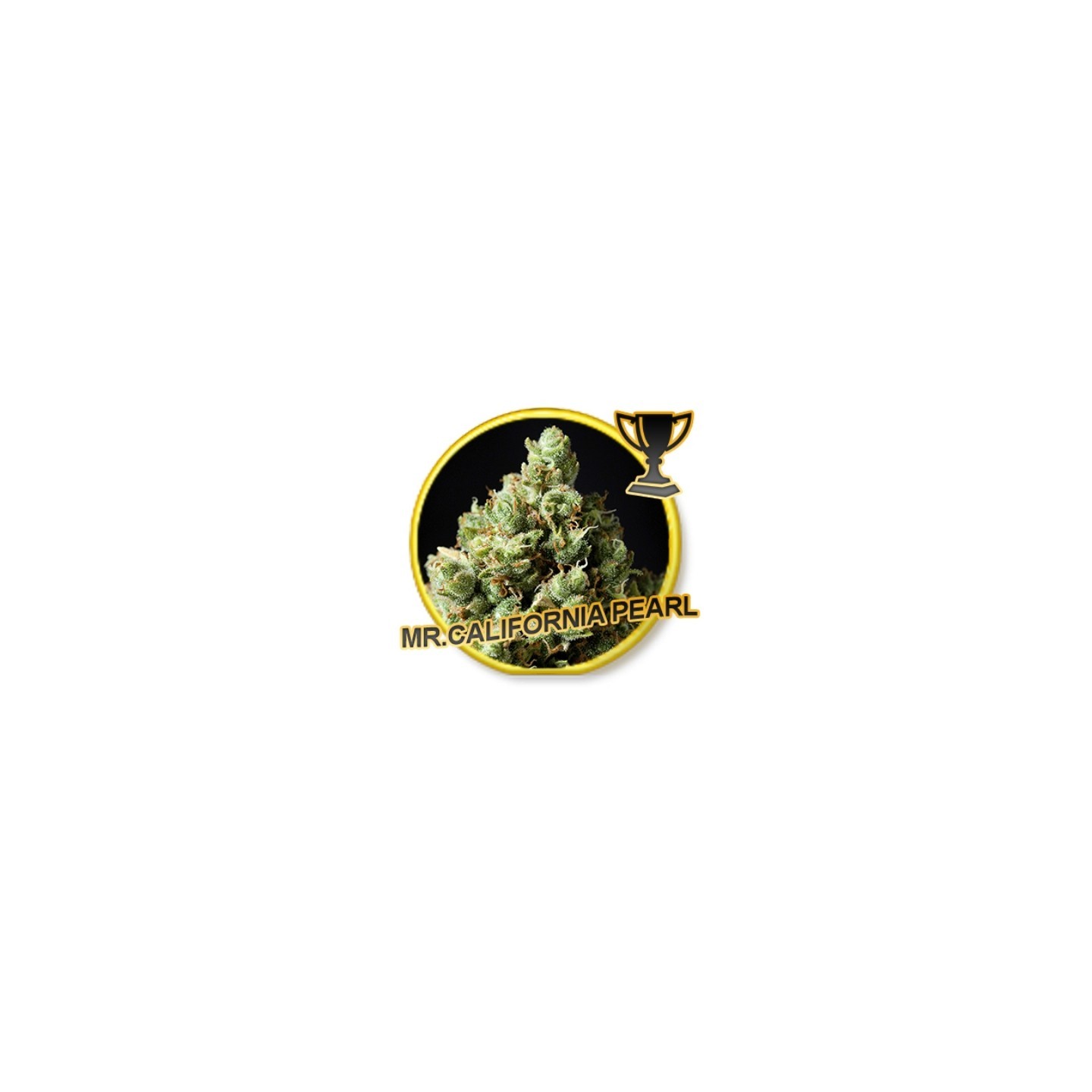 MR. California Pearl Feminizada de Mr. Hide Seeds
