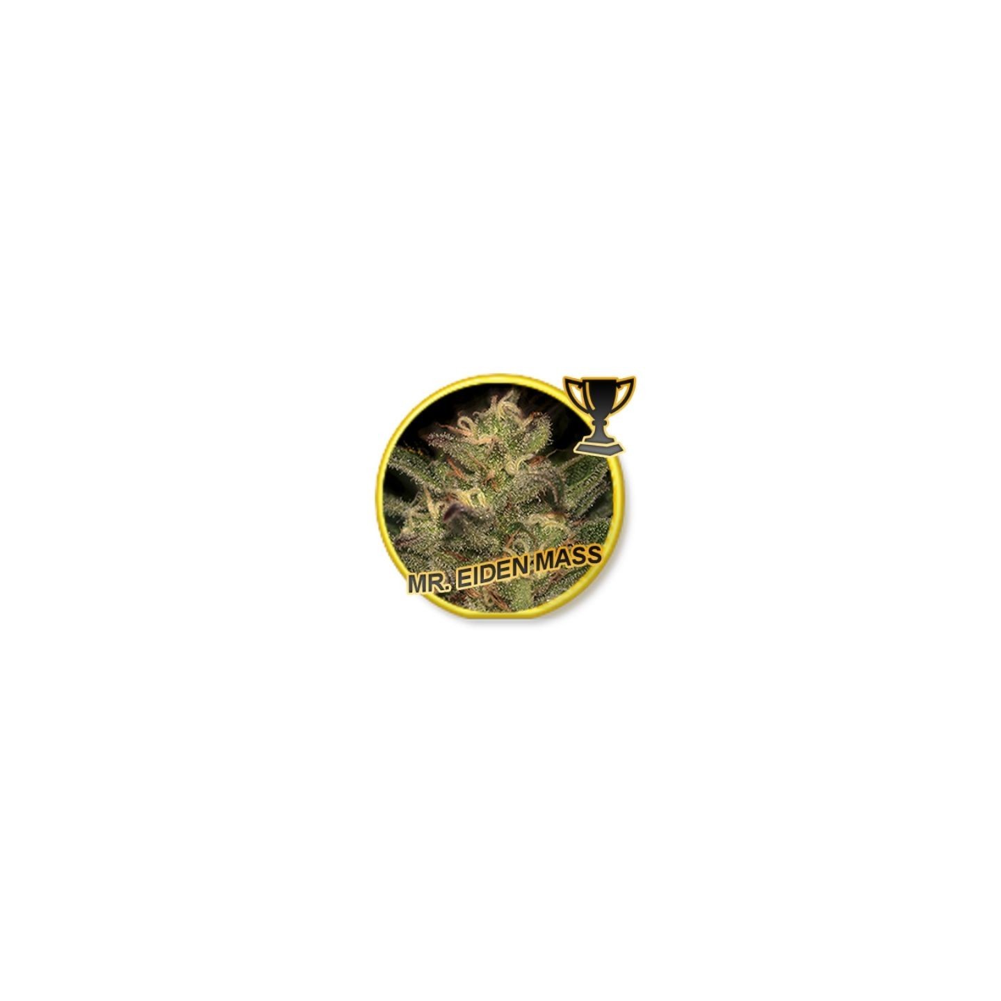 MR. Eiden Mass Feminizada de Mr. Hide Seeds