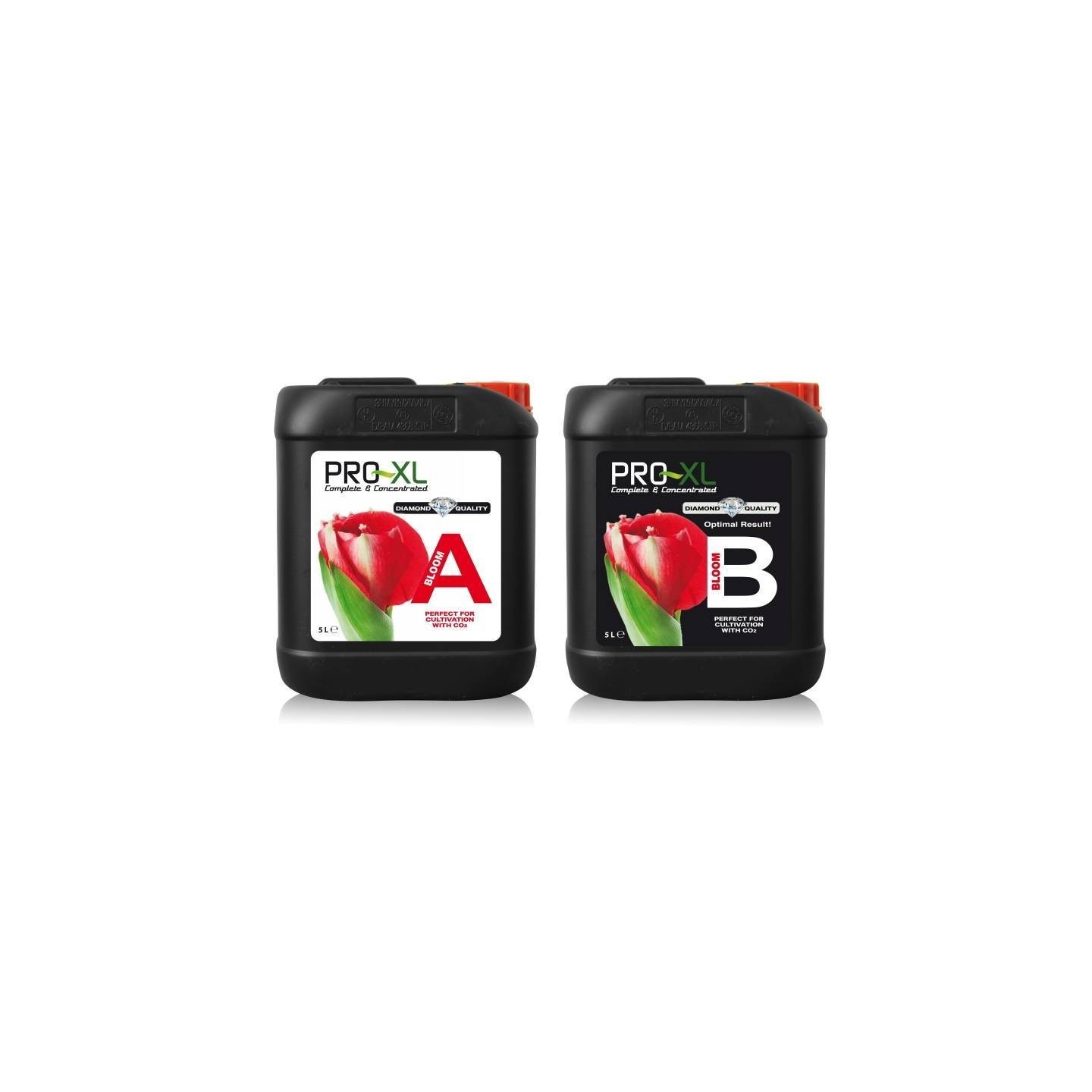 BLOOM A&B de Pro XL