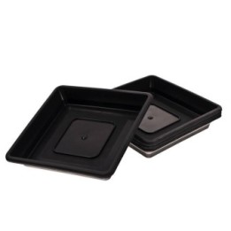 CULBALGAV9077 New de Top Spinner