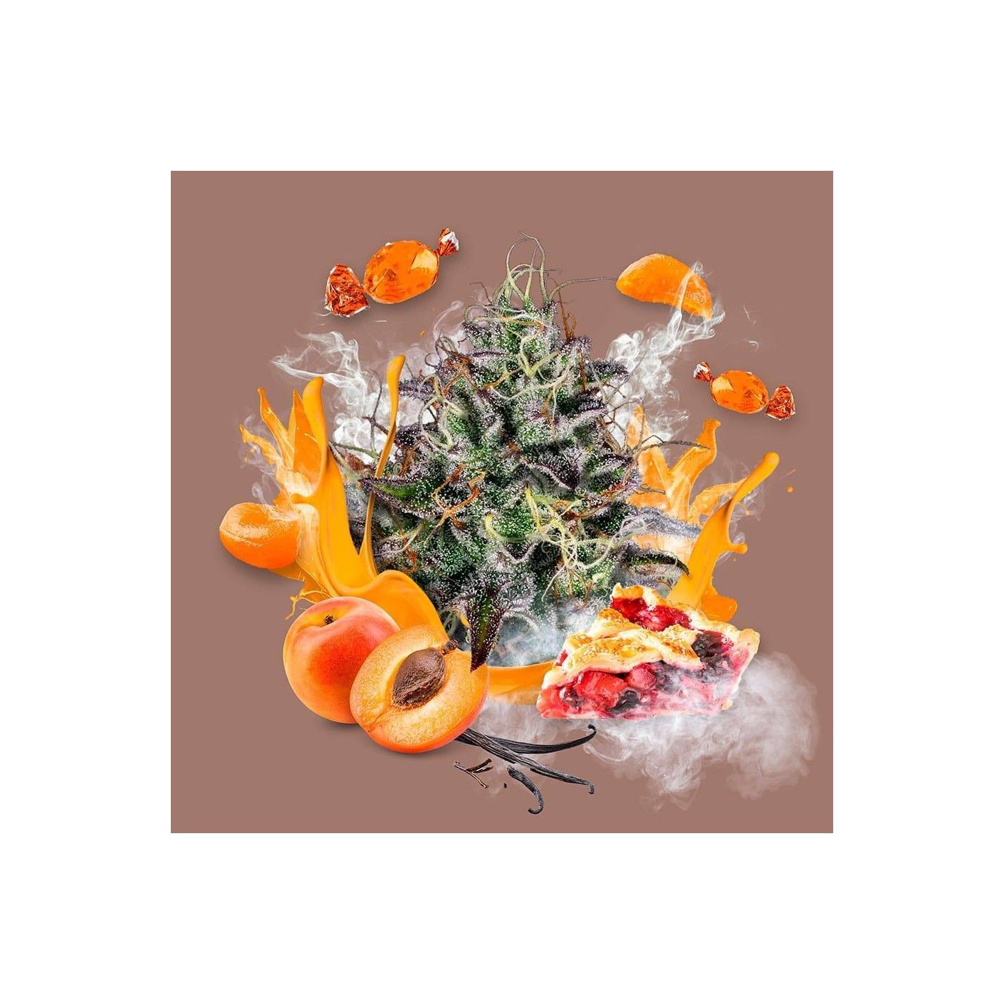 Apricot Candy de Paradise Seeds