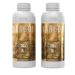 Coco A+ B de Narcos