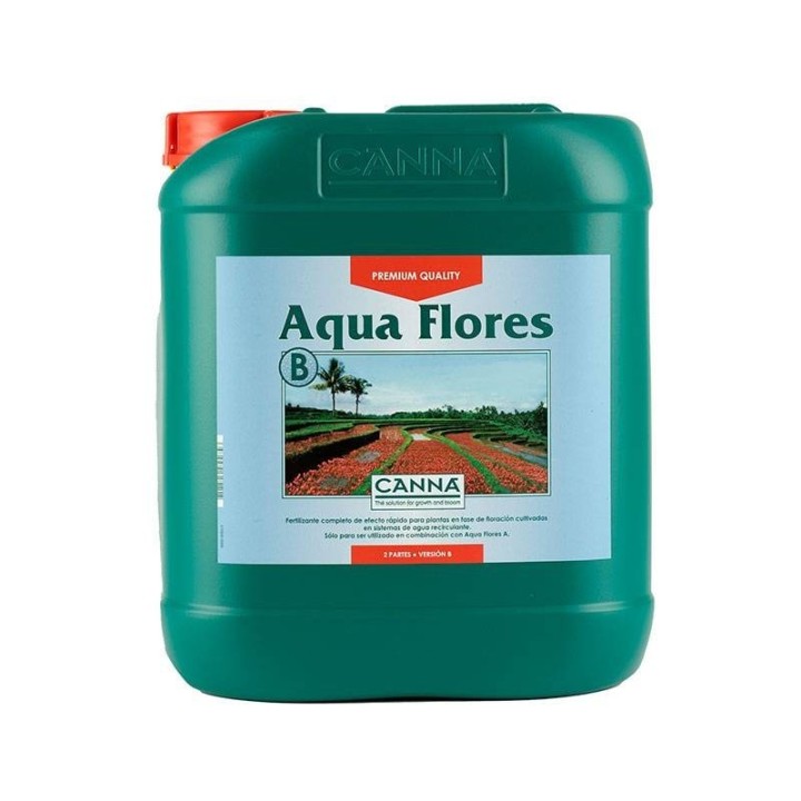 Aqua Flores B de Canna
