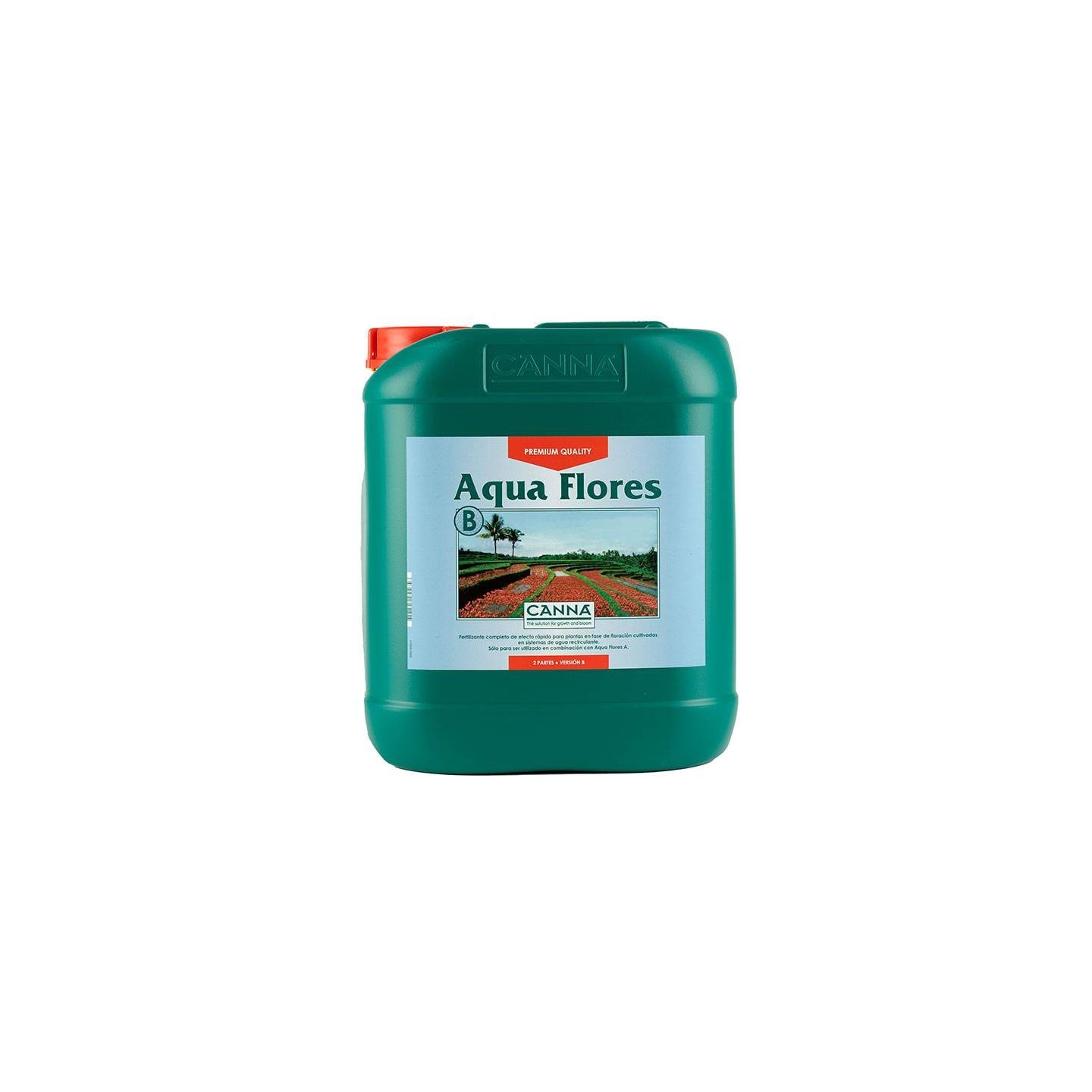 Aqua Flores B de Canna