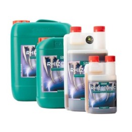 Rhizotonic de Canna