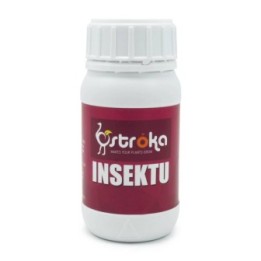 Insektu de Ostroka