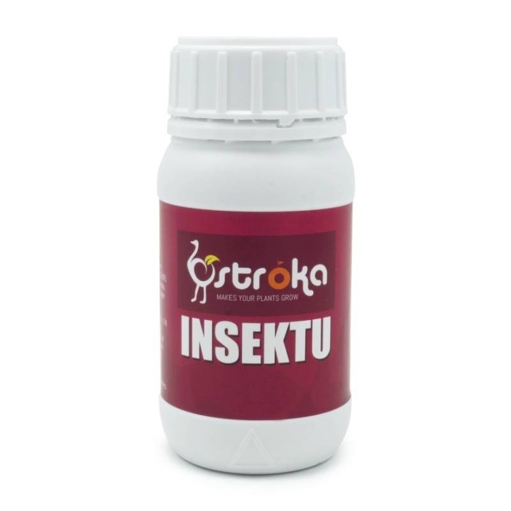 Insektu de Ostroka