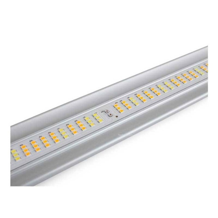 Sistema LED Galaxy Pro 1000W de Solux