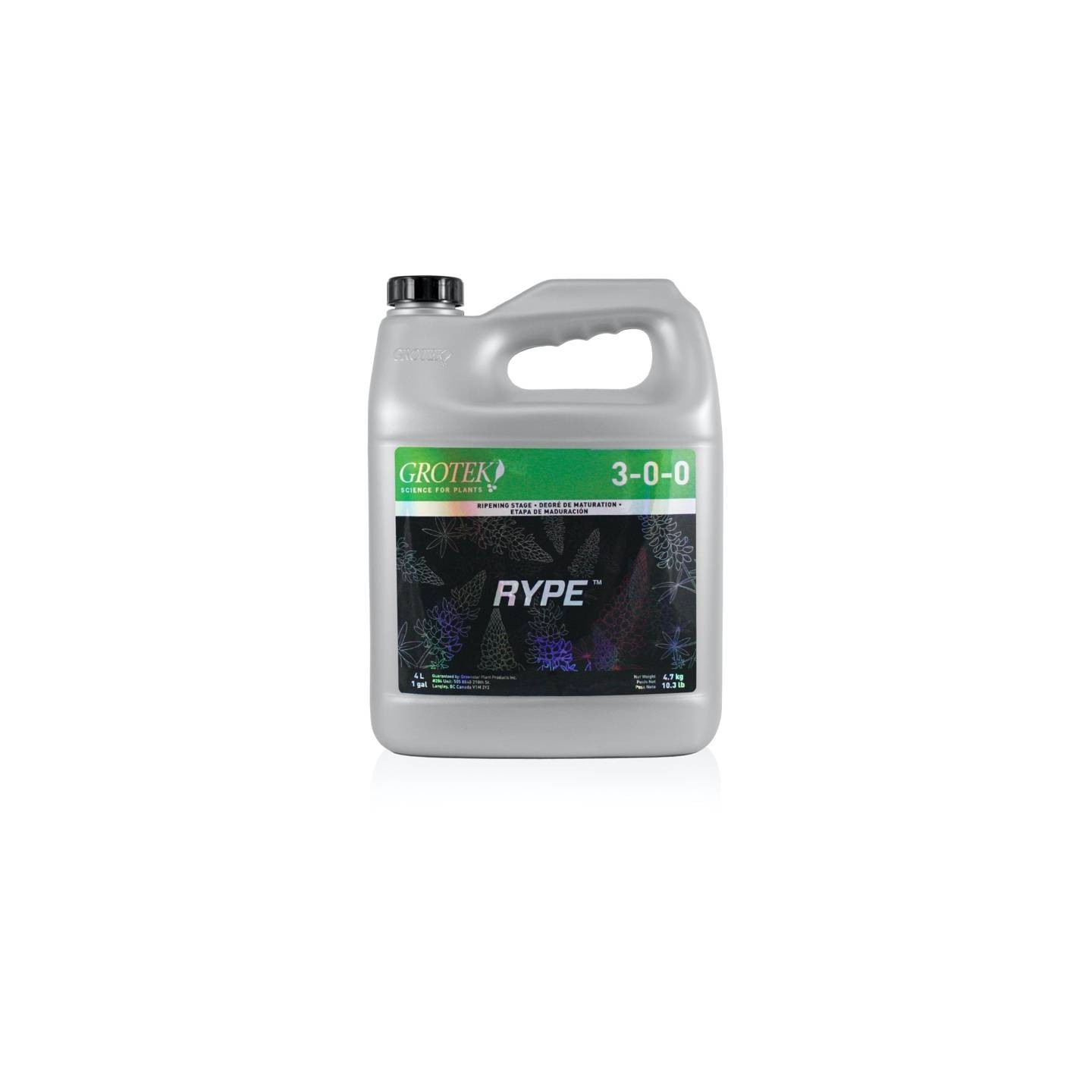 Rype de Grotek