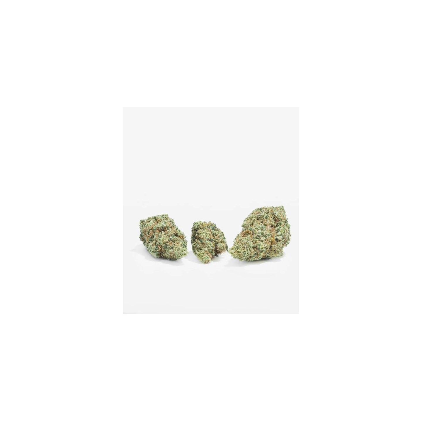 Lemon Tree CBD (Flores) | The Tree CBD | Flores CBD | Precio ☑️