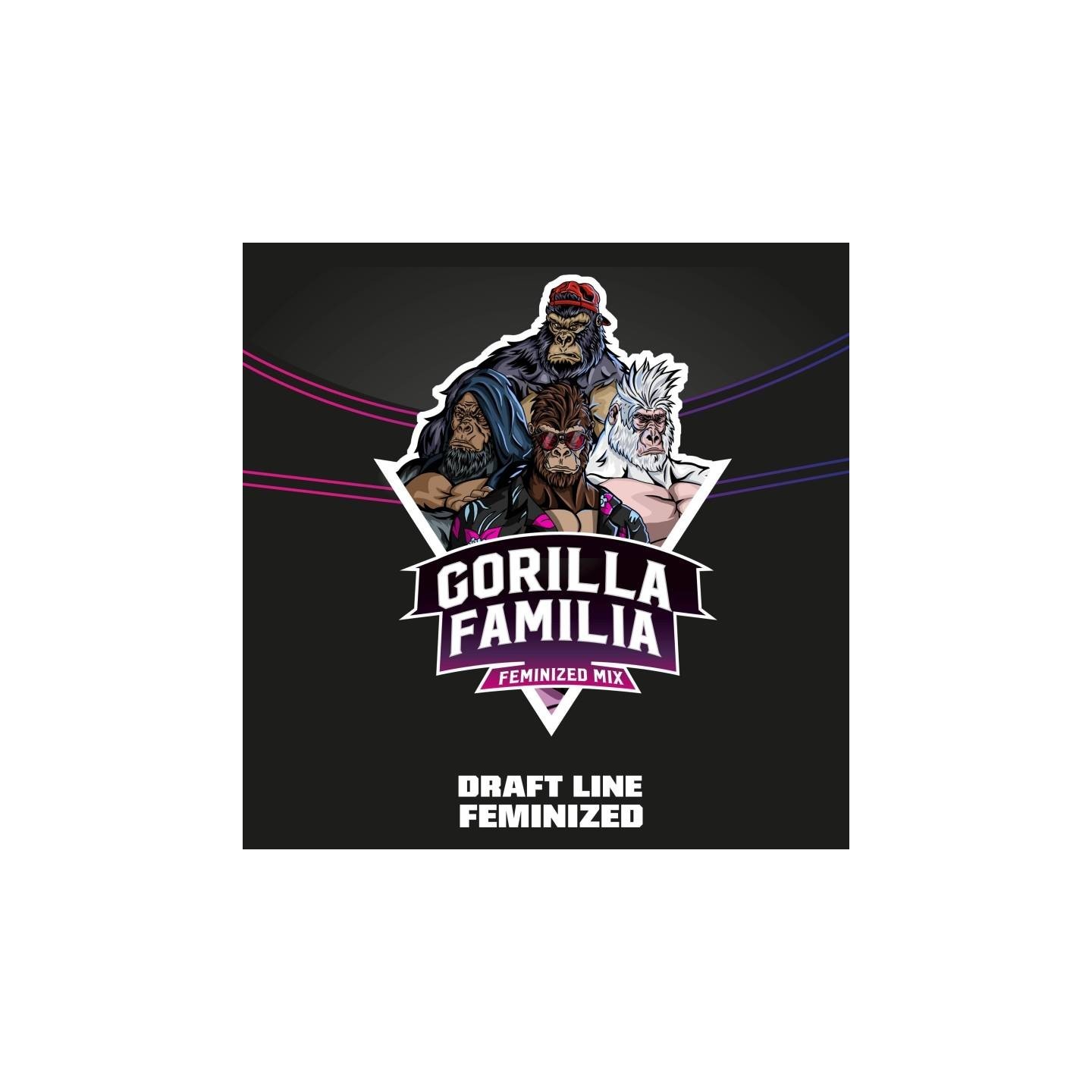 Gorilla Familia - BSF Seeds