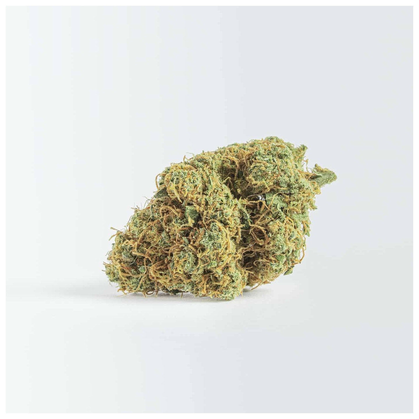 PISTACHIO CBD de The Tree CBD