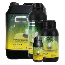 EFECTO CO2 FASE 1 NANO GRUPAL
