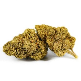 AK47 Flores - 5G