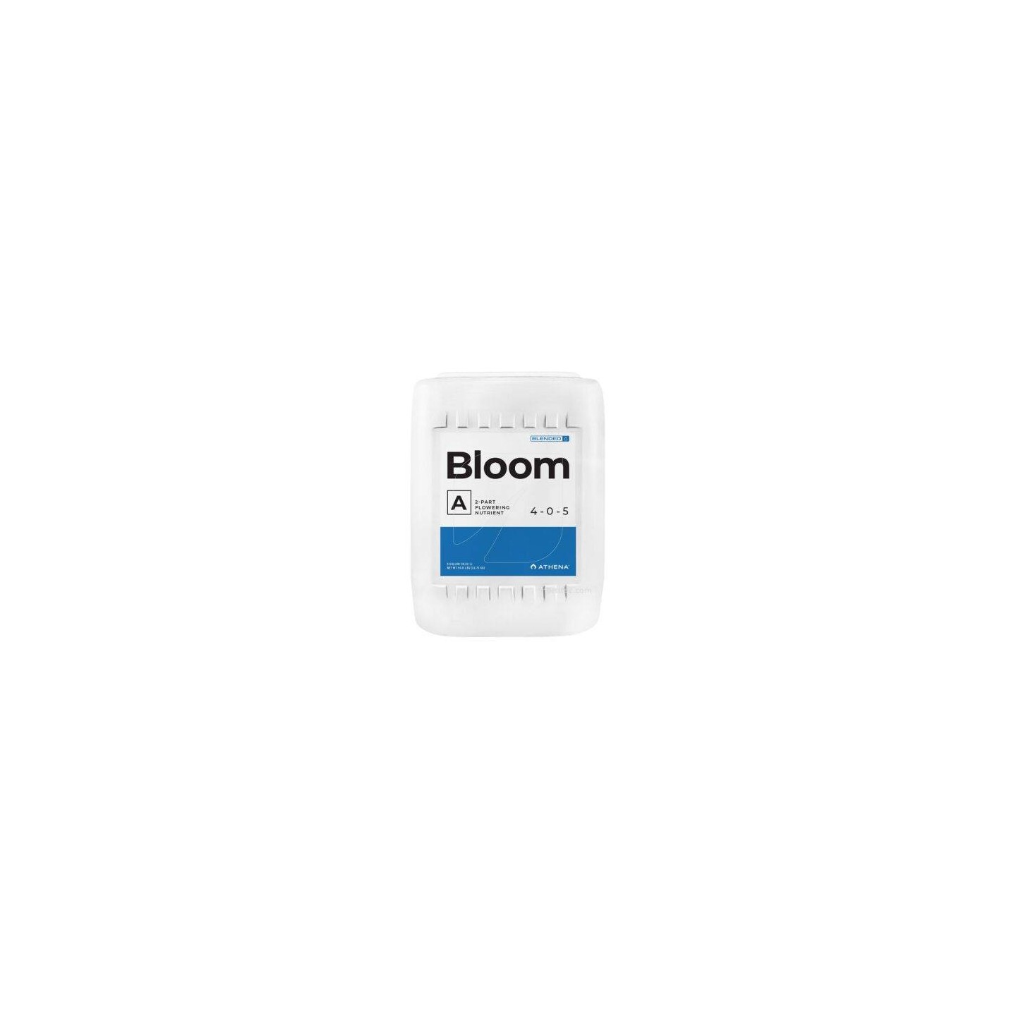 bloom a athena