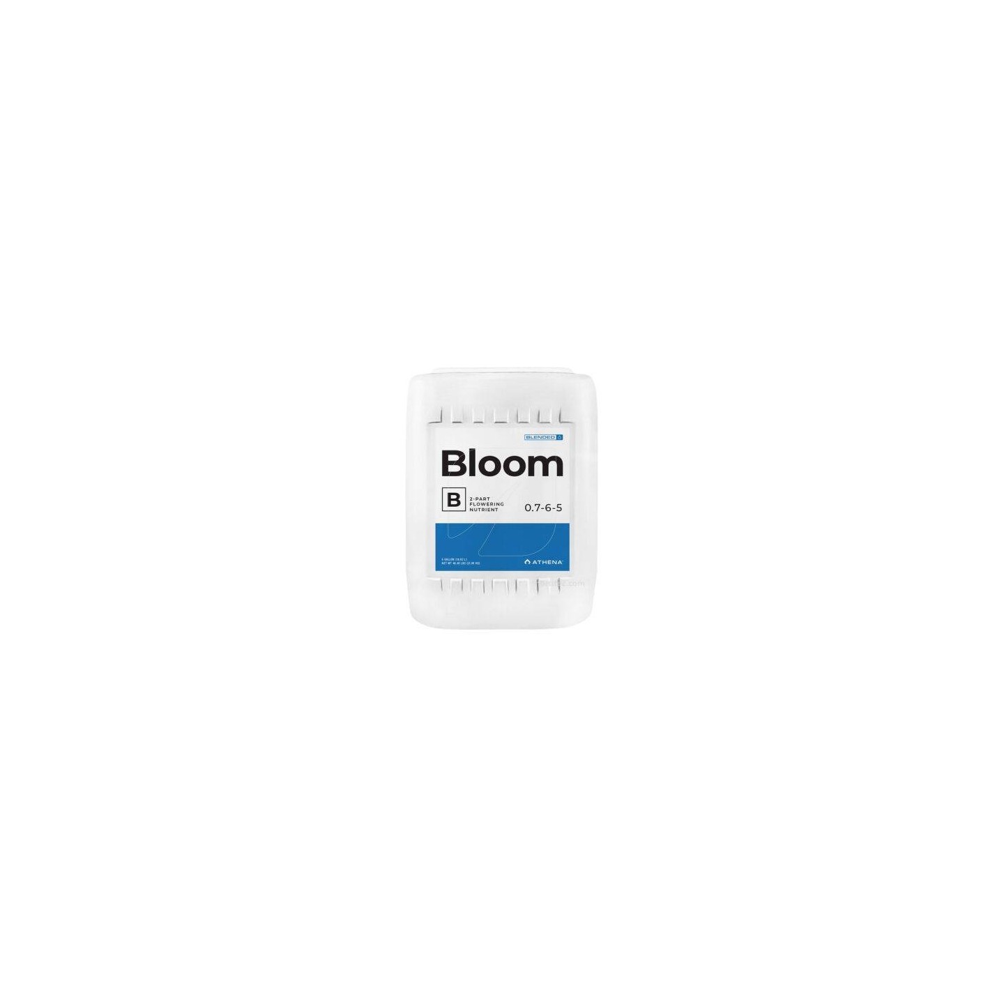 bloom B athena grande