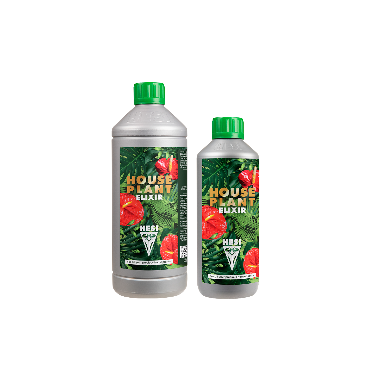 HOUSE PLANT DE HESI