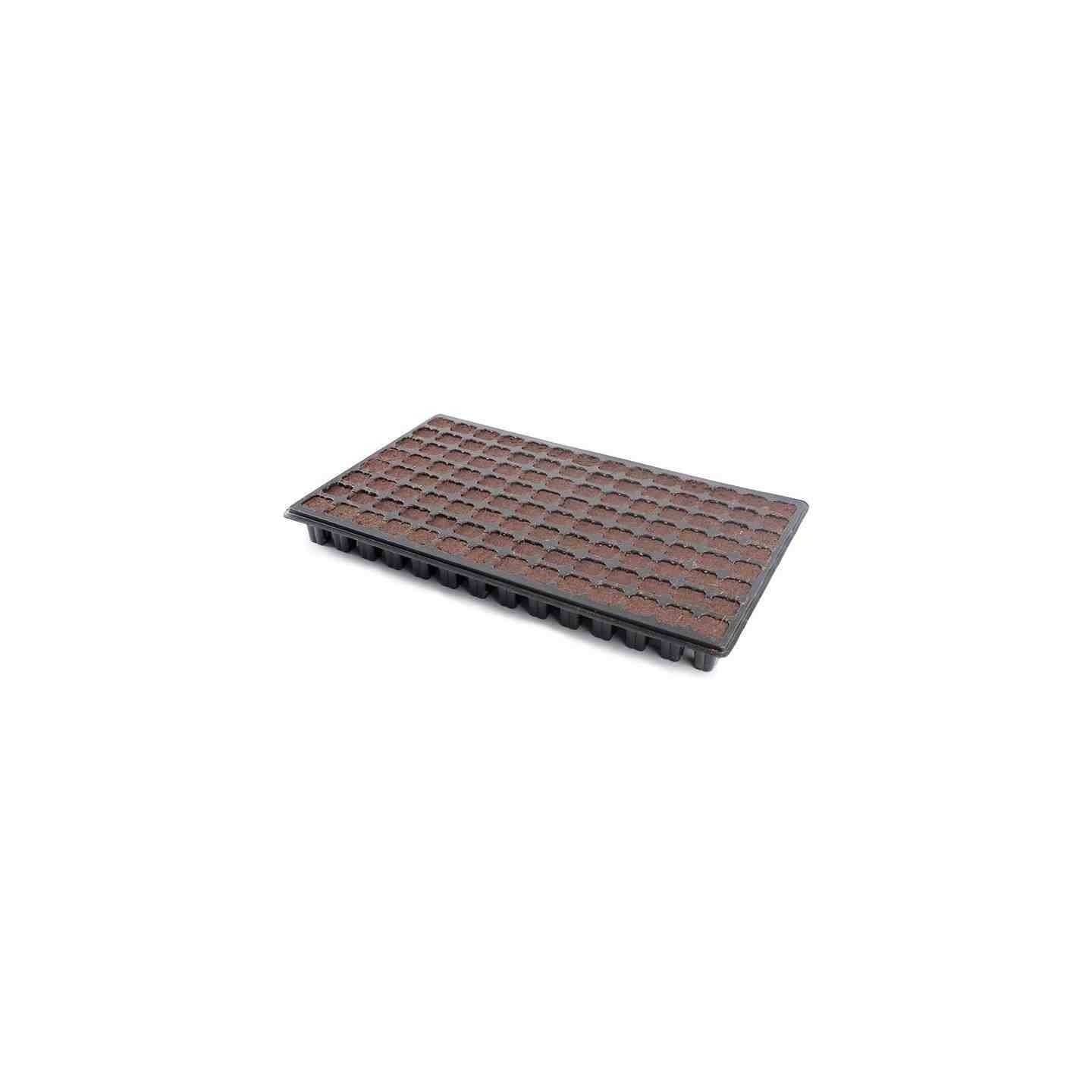 Bandeja Iclone 150 alveolos