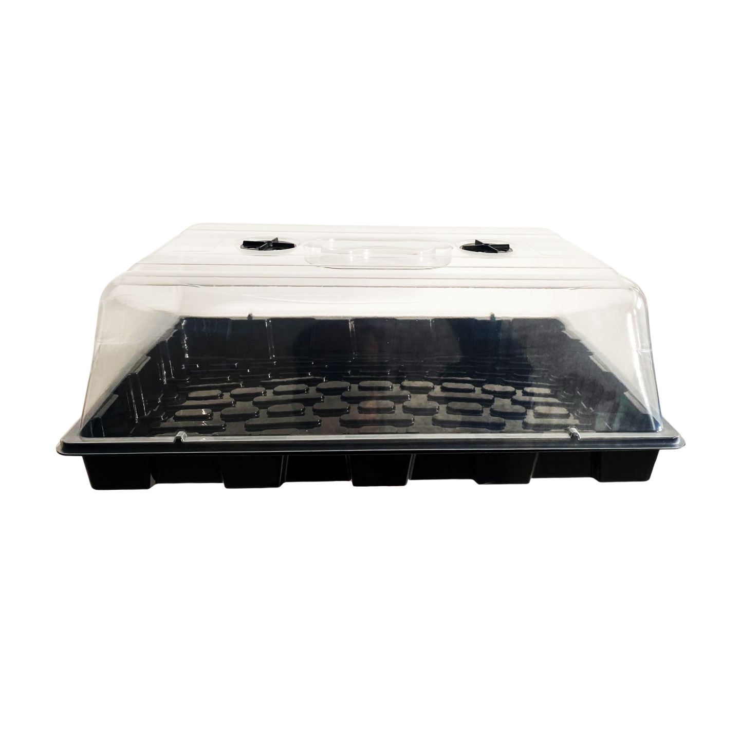propagador proclone 2