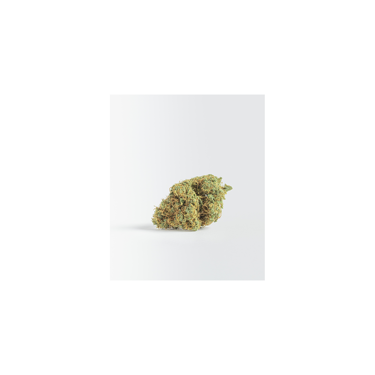 Flores de CBD Malibu Exotic | Matillaplant