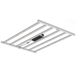 king led platinum