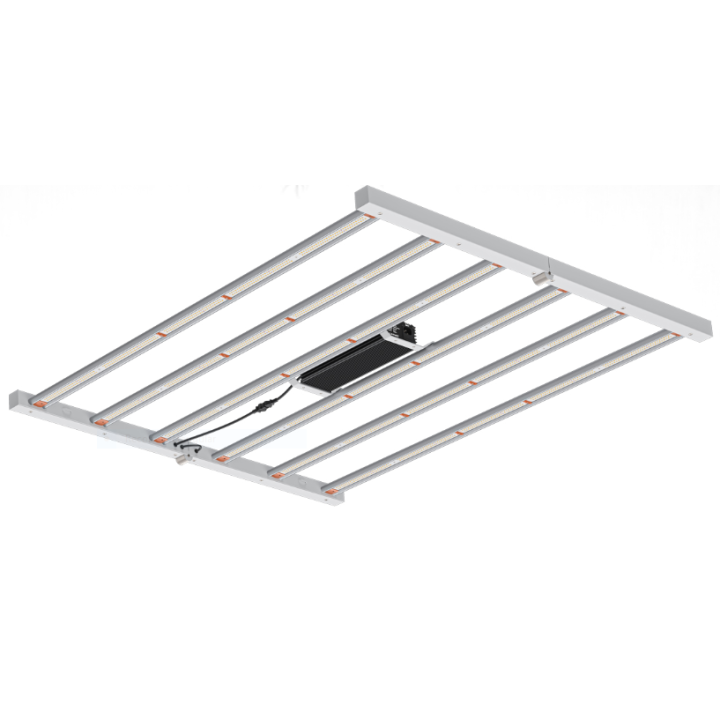 king led platinum
