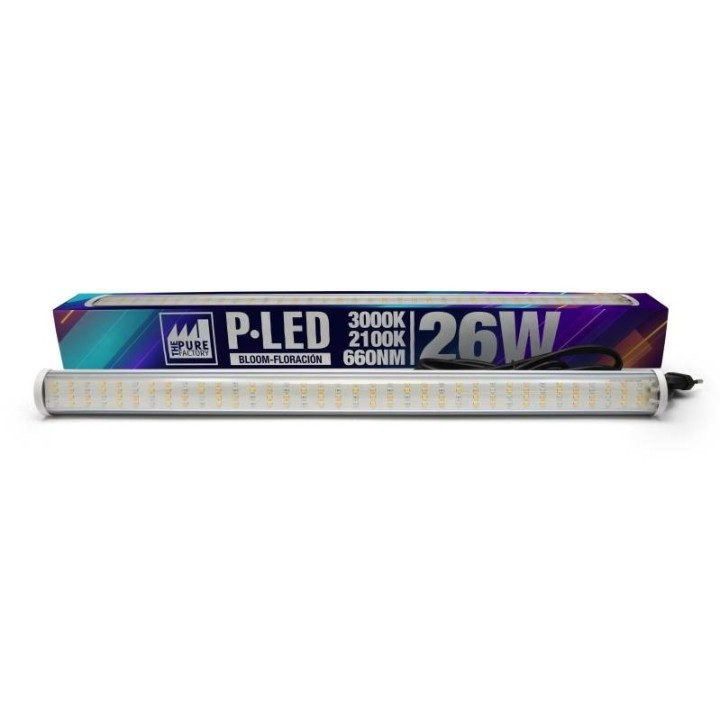 BOMBILLA LED 26 FLORACION