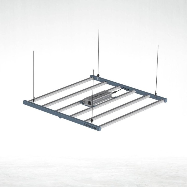 Platinun Led 720W con conexión para Master Controller