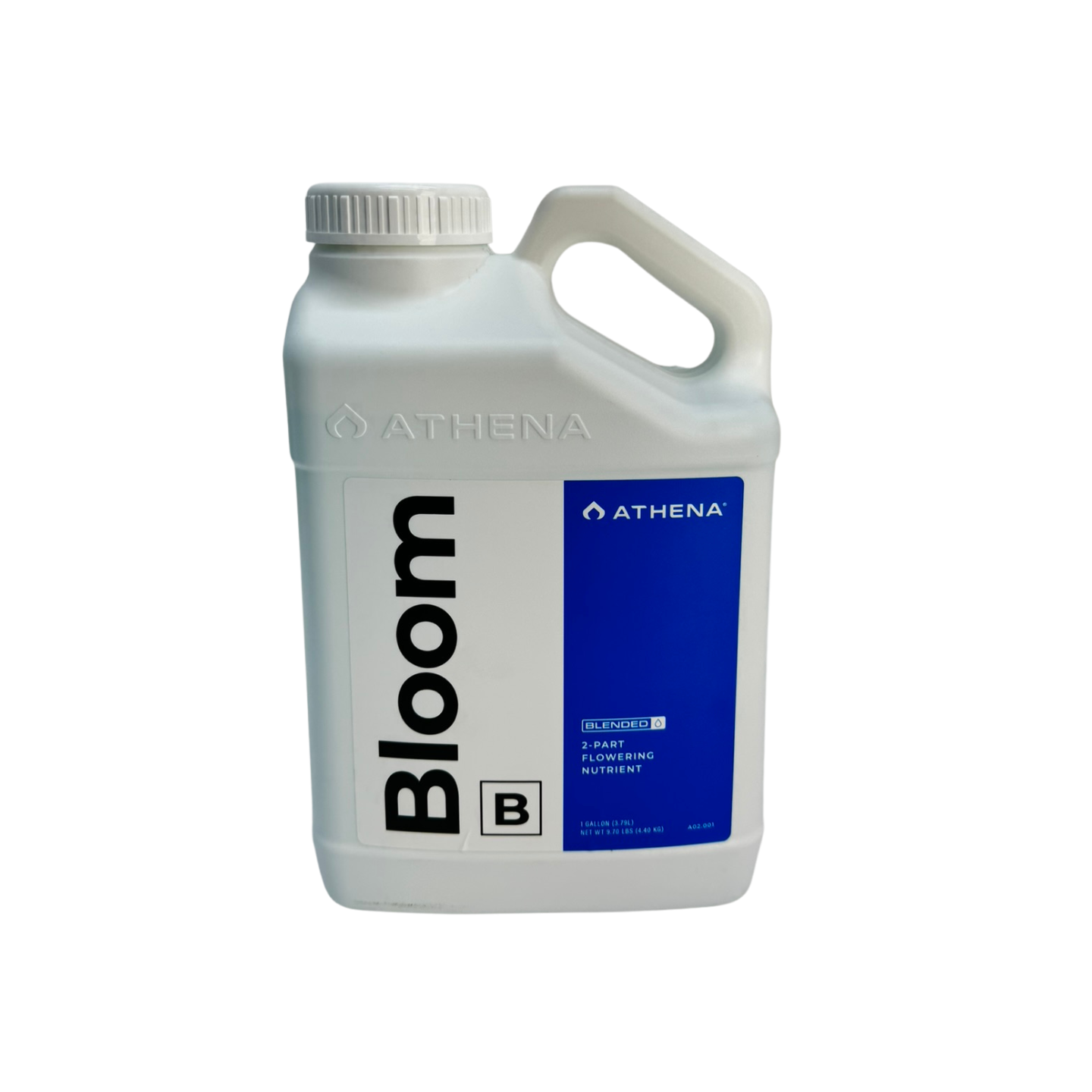 bloom B athena