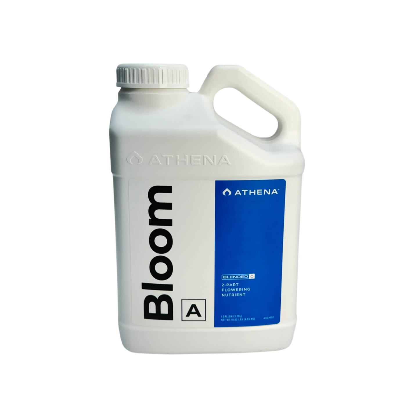 bloom a athena
