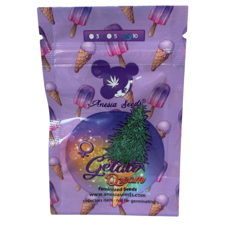Gelato Dream